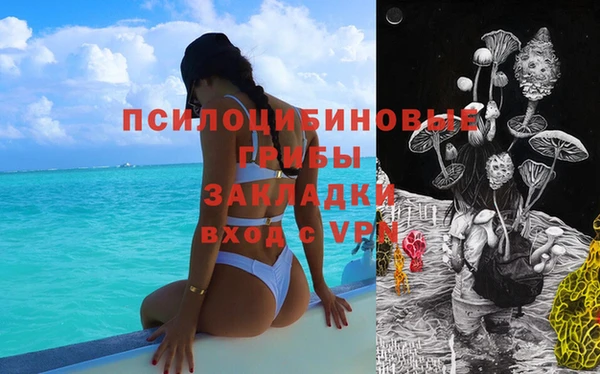 мет Алексин