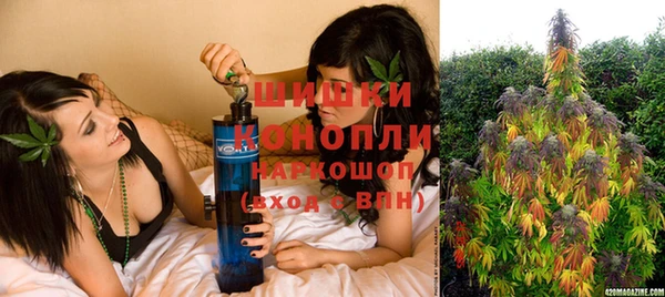 ПСИЛОЦИБИНОВЫЕ ГРИБЫ Алзамай