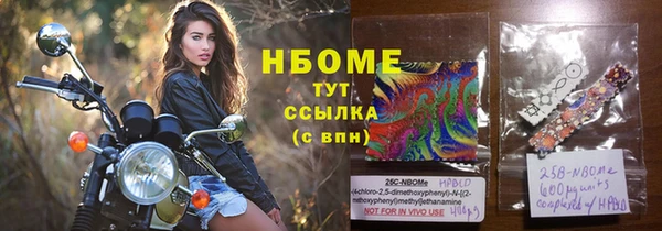 мет Алексин