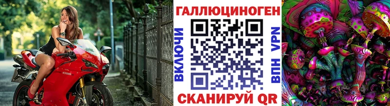 Псилоцибиновые грибы Psilocybe  Кремёнки 